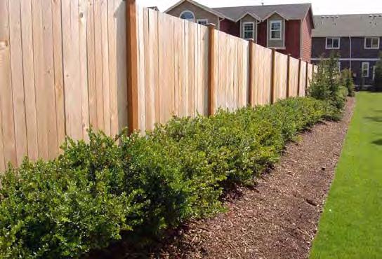 Landscape and Irrigation K. Hovnanian Homes WOOD FENCING Wood fencing is typically constructed of treated lumber that requires minimal maintenance.