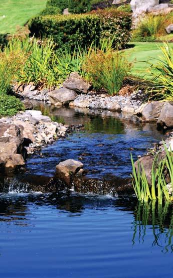 Streams LEVEL OF EFFORT Contractor Consumer What you ll need: PondGard Rubber Liner, excavating tools, landscaping rocks, waterfriendly vegetation, and a circulation system.