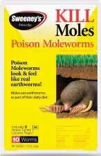 7150410 14 99 Poison Moleworms Look like
