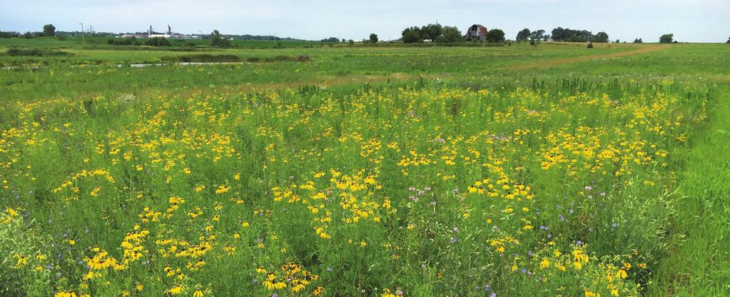 With increasing demands on the land, there are fewer acres available for wildlife and it is imperative we make those remaining acres the best possible.