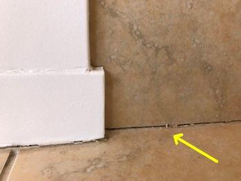 Voids in the caulking/grout where flooring butts against shower/tub,