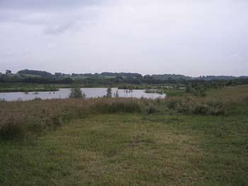 As the project name suggests, Brockholes is a mixed landscape at the heart of the Ribble Valley, with wetland