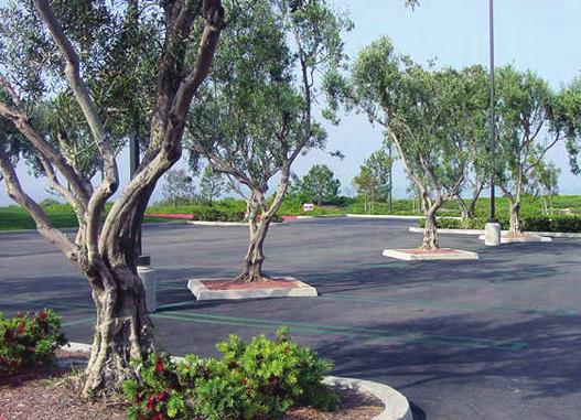 B. Parking Lot Design and Screening Adequate parking is necessary for a successful project; however, the parking does not need to be provided in one large lot that can be characterized as a sea of