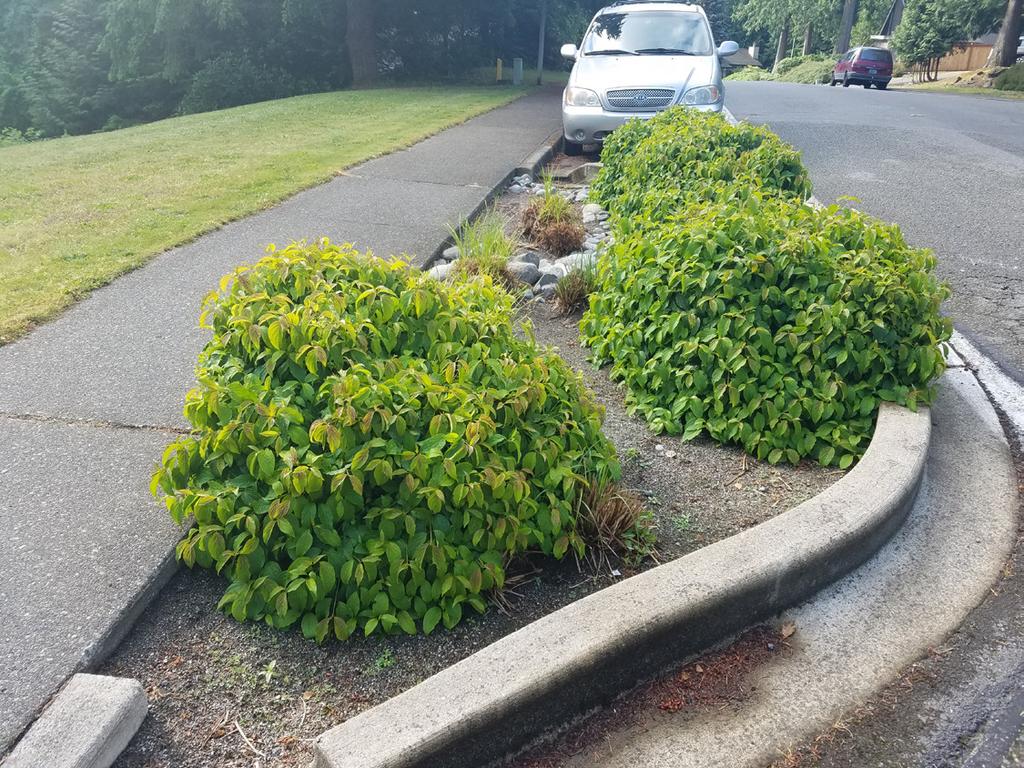 City of Sammamish Bioretention AHBL Several roadways in the City of