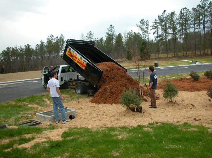 Mulching Use double or tripleshredded hardwood Renew if needed due to oxidation or