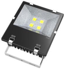 security lights Under canopy areas and loading bays LED Flood Light F Series 90 lm/w Color