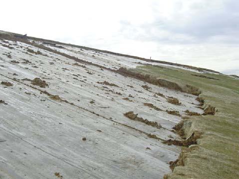 Geotextiles Geonets Geocomposites Geomembranes A slip surface may develop at one of the