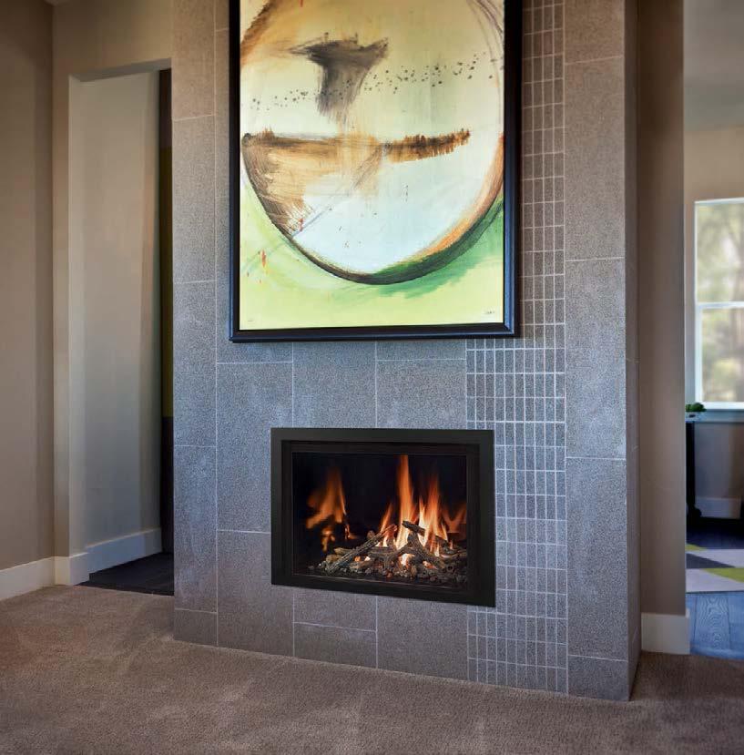 An elegant, contemporary fireplace insert