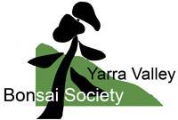 September & October 2013 Vol. 5 No. 14 Proudly sponsoring the Yarra Valley Bonsai Society www.orientbonsai.com.