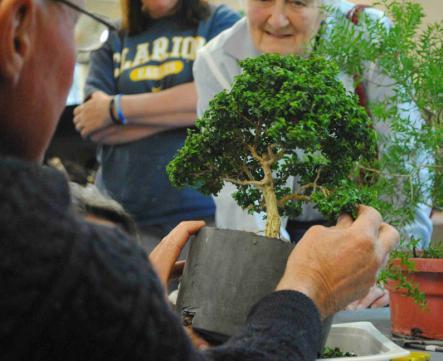Water your re-potted trees well, from above until the water runs clear from the pot, and including a plant hormone such as plant starter or seasol, then place the tree into a sheltered position