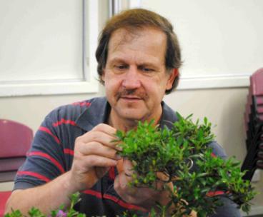 His involvement waned with marriage and starting a family, but then redeveloped around 10 years ago after injury saw him confined to a wheelchair and then crutches for some time - bonsai gave him an