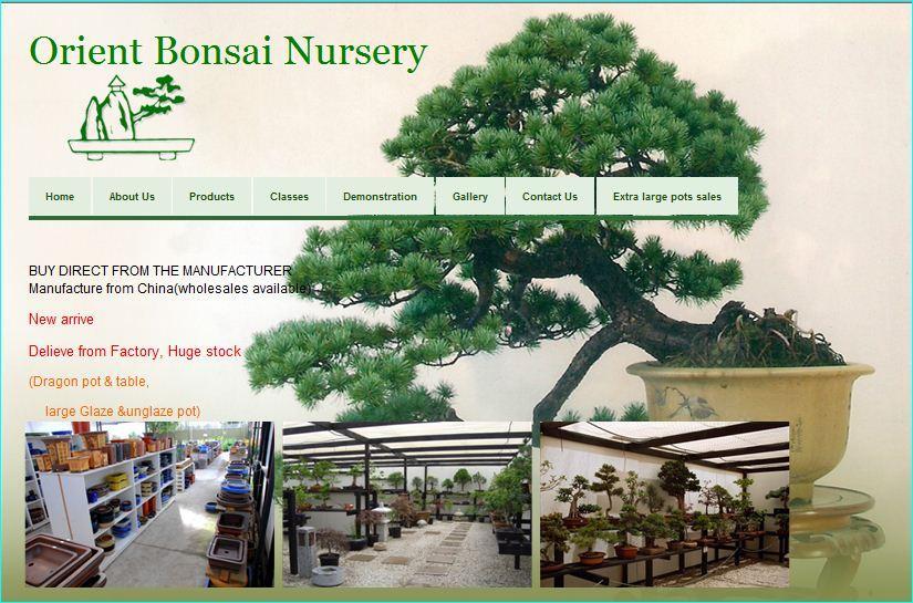 P a ge 4 Craig s Corner The regular column by Craig Wilson of Gentiana Nursery. MANAGING YOUR COLLECTION We are now entering what should be the most labour intensive time of year for bonsai growers.