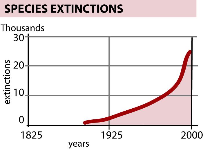21. The graph to the right shows a rapid increase in the number of species going extinct over the last 100 years. Why do you think more species are going extinct each year?