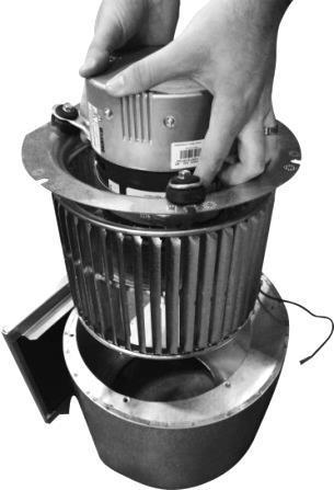 Blower Motor and Fan Access To access the blower motor and fan, first remove the blower assembly as outlined in the appropriate Blower Assembly Removal for your unit.