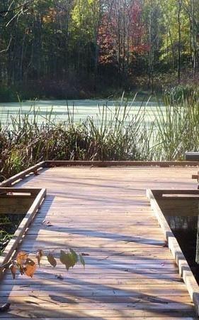 NATURE overlook observation decks preservation accentuate existing wetland removal of