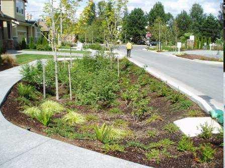 What Is Low Impact Development - LID Treat and control stormwater at its source Small-scale stormwater controls distributed throughout