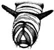 thorax are still indistinct. The triangular patches behind the head are gone, and have become thin lines that extend below the spiracle.