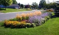 A Rain Garden is a practical method that can be maintained with little or no irrigation i The results don t need to look like desert landscaping For more
