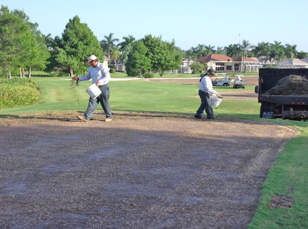 Step #4 cont. Hand planting: Small areas like tee tops and greens approaches are planted by hand.