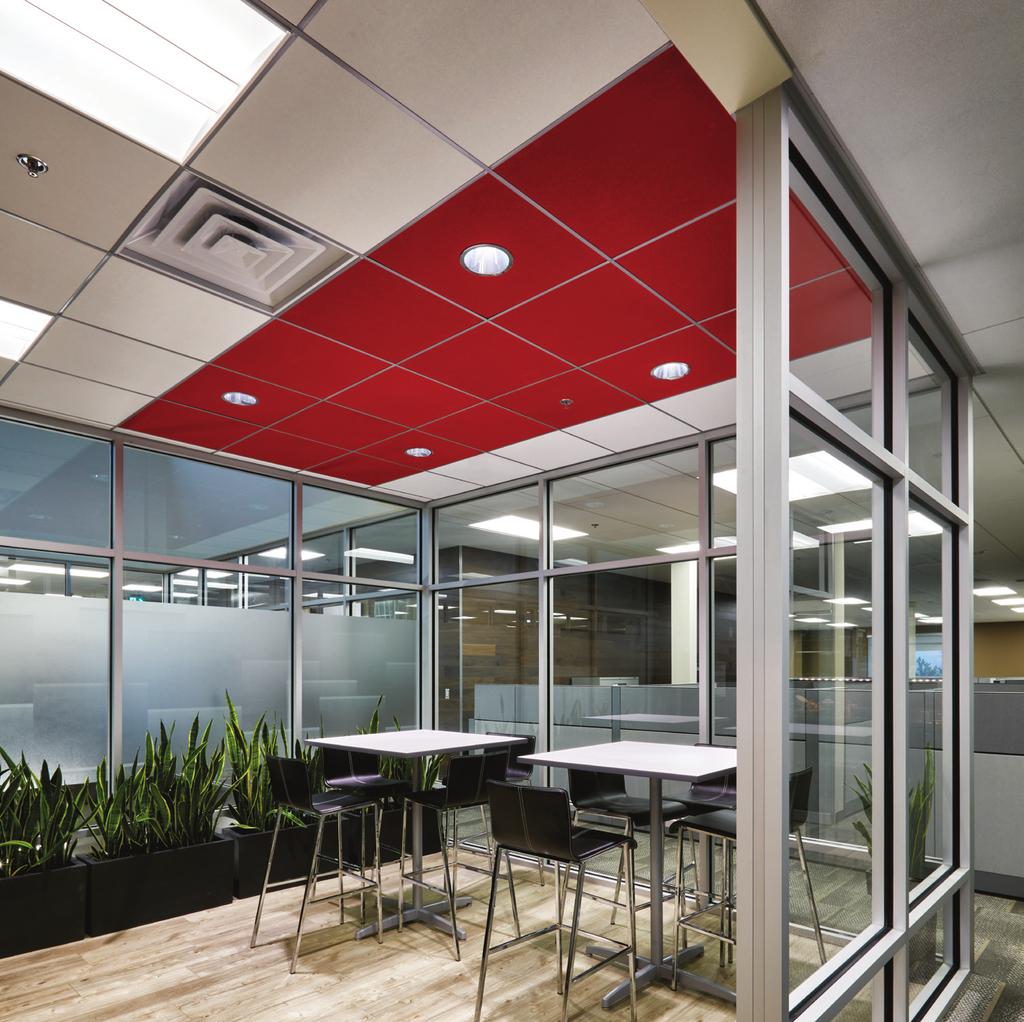ROXUL Corporate Office, Canada ROCKFON Alaska and ROCKFON Color-All in 750-Chili 2x2 Panels Chicago Metallic 4000 Tempra in 44-Satin Silver COLOR Color plays a vital role in influencing our
