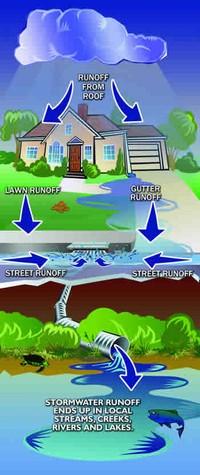 Reducing pollutants: Water running off our lawns, roads, and other surfaces picks up nutrients, bacteria, and chemicals, carries them to stormdrains in the roads, and then deposits them directly into