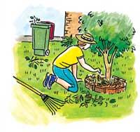 Greening Your Lawn and Lawns/ Reducing Your Use of Fertilizer, Toxic Pesticides, and Herbicide on Your Lawn and WHY?