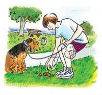 Lawns/ Poop Pickup ing Up After Your Dog WHY? Car Care Pet Dishes/ Streams Poop pollutes. Thousands of dogs live http://www.lismore.nsw.