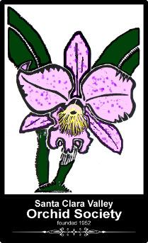 Santa Clara Valley Orchid Society Established 1951 Helping You to Become a Better Grower May 2010 SCVOS Newsletter (please note that links in electronic copies are functional Speaker Notes On May 5