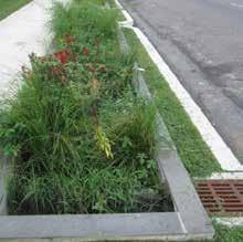 DIVISION 1: INTRODUCTION 1.2.1.3 STORMWATER PLANTER DESCRIPTION Stormwater planters are structural containers that store and manage stormwater runoff.