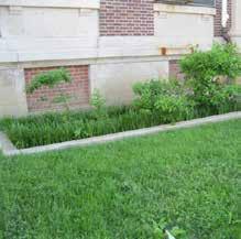 Stormwater planters are often integrated into sidewalks, plazas, or along the public right-of-way and can also be found at building downspouts.