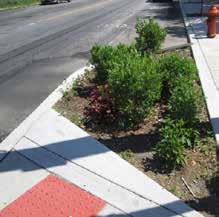 Stormwater bump-outs are usually lined with geotextile (permeable or impermeable) and are planted with herbaceous and/or woody species in soil media over a layer of stone.