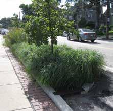 Stormwater bump-outs are sometimes used as pretreatment for water entering other SMPs (e.g., infiltration/storage trenches).