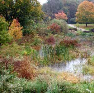 A stormwater wetland typically holds water for longer than 72 hours, and is commonly comprised of a combination of shallow and deep pools connected in series by conveyance and/or flow control