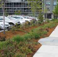 Stormwater swales are typically designed to control stormwater runoff velocity, filter stormwater pollutants using
