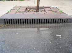 Stormwater runoff is filtered by the tree pit soil and infiltrated into the underlying soil beneath the tree