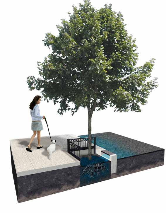 DIVISION 1: INTRODUCTION Stormwater Tree Figure 1-19.