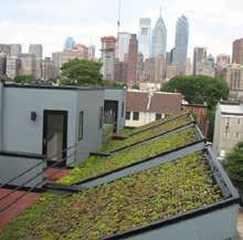 Unlike traditional roofs which shed rainwater, green roofs capture and evapotranspire rainwater.