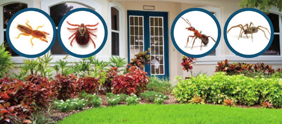 Broad Spectrum Insecticide Ready To Spray For Use on Lawns, Ornamentals, Listed Garden Vegetables & Fruit Trees Covers Up To 2,667 Sq. Ft. For Residential Use Only.