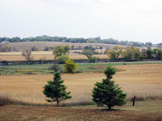 Other natural areas take the form of shelter belts around farmsteads and publicly owned land for parks and preserves.