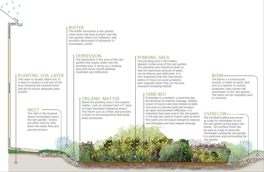 VEGETATED SYSTEMS Vegetative systems primarily focus on reducing water quality impacts and less on reducing flooding.