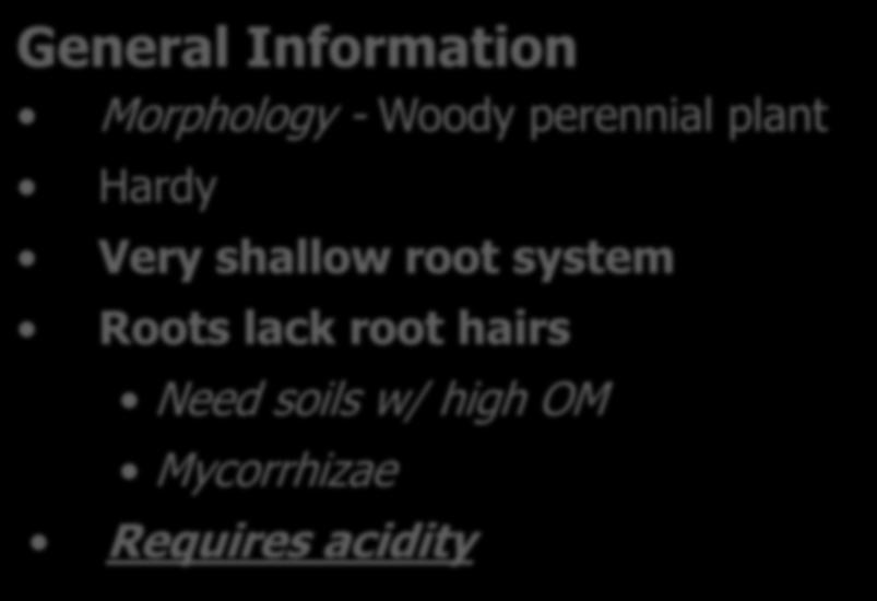 system Roots lack root hairs Need soils w/