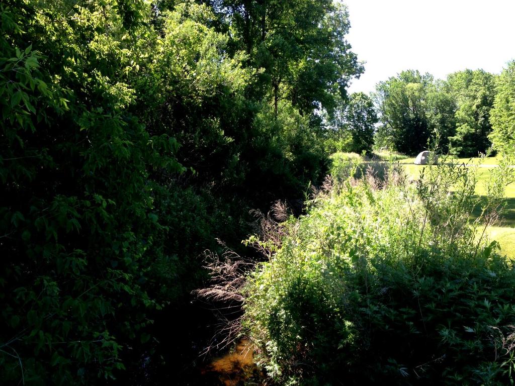 natural terrain. 2) Preservation of buffers Define, delineate and preserve naturally vegetated buffers along perennial streams, rivers, shorelines and wetlands.