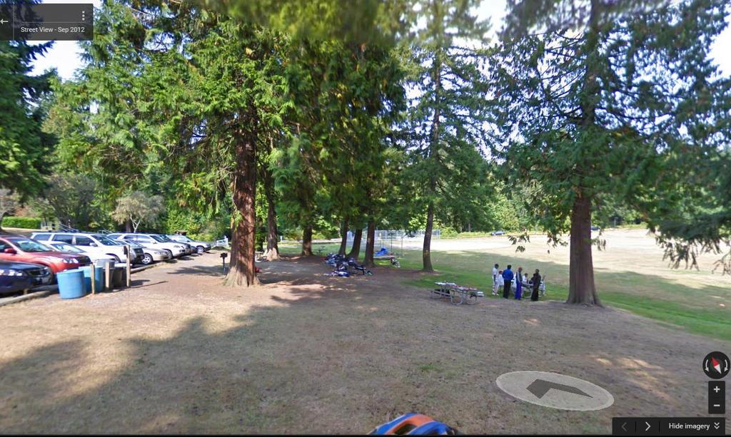 Source: Google Maps ditch Photo 3: Another view of area adjacent to parking lot where pervious paths are planned within the critical root zone.