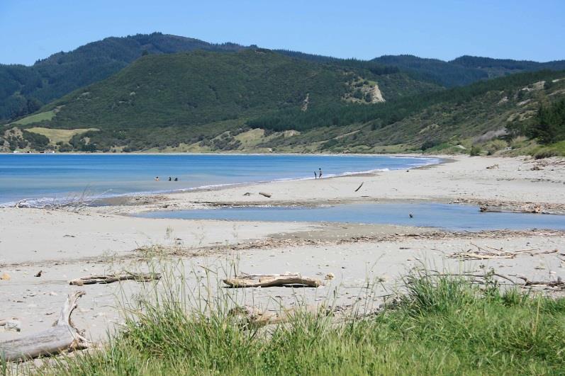 Conclusion NZ Coastal Policy Statement 2010 provides stronger guidance to