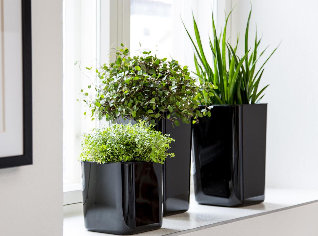 A green home in an easy way - Orthex indoor products A green indoor oasis is easy to achieve with little effort.