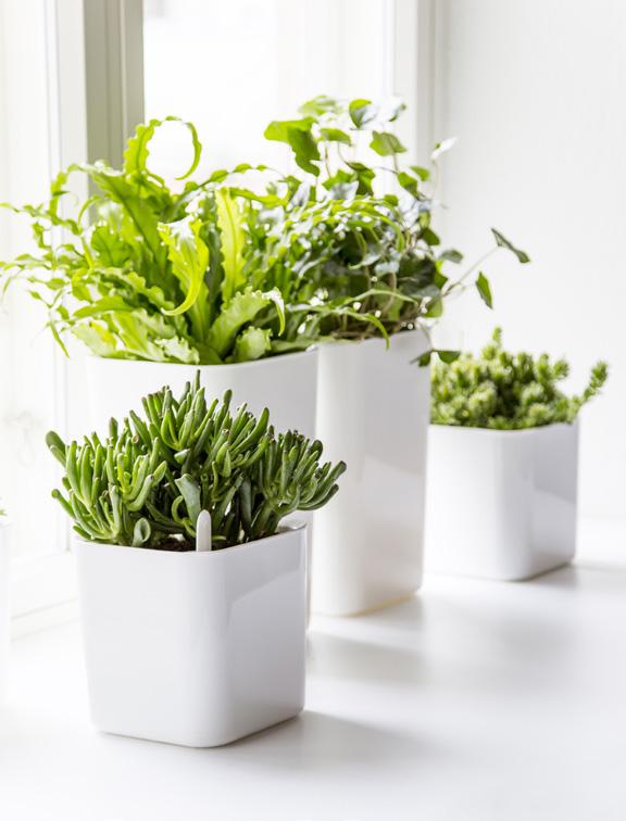 In addition to beautiful plants and flowers, most people want the pots to fit in with the rest of the furnishing.