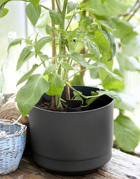 PAULINA The Orthex Paulina pot is a modern classic, available in three colors; stylish black, white and anthracite.