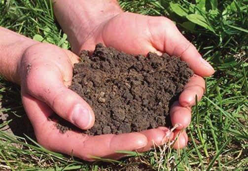 Soil testing shall be performed after mass grading, prior to landscape installation to ensure the selection of appropriate plant material that is suitable for the site, and reported in a soil