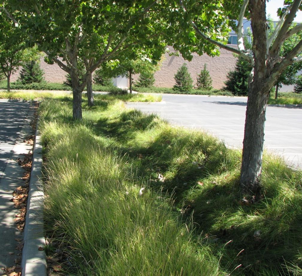 Stormwater Best Management Practices (BMP) encouraged as Landscape Design Features-meet both objectives Less runoff Cleaner