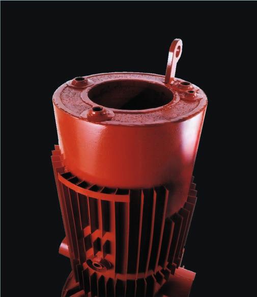FULTON FUEL-FIRED VERTICAL TUBELESS BOILERS FULTON: AN INDUSTRY LEADER SINCE 1949 Since Fulton s invention of the vertical tubeless boiler in 1949, Fulton has been the leading U.S. manufacturer of this type of boiler.